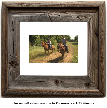 horse trail rides near me in Potomac Park, California